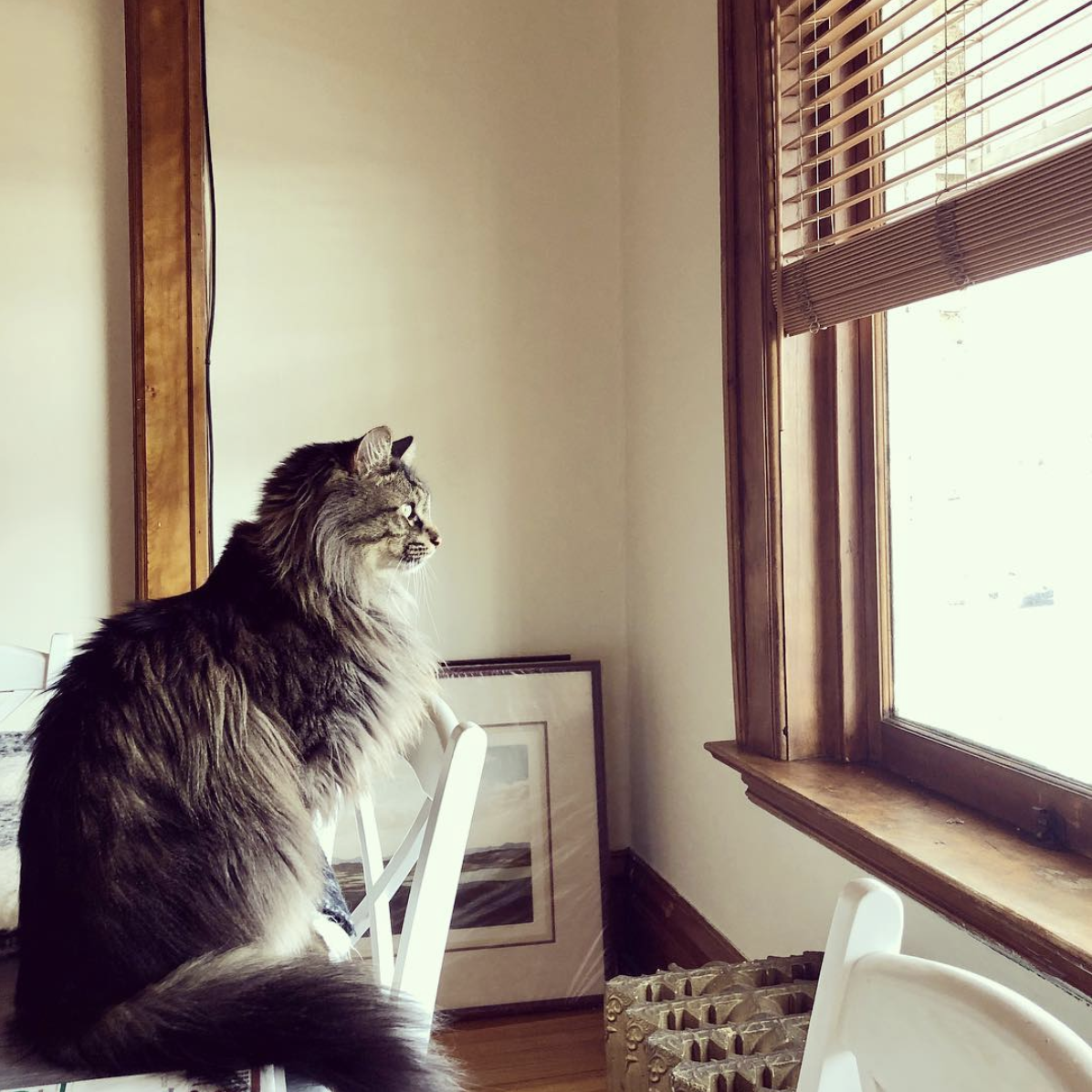 Screen Shot 2019-08-17 at 9.25.21 AM