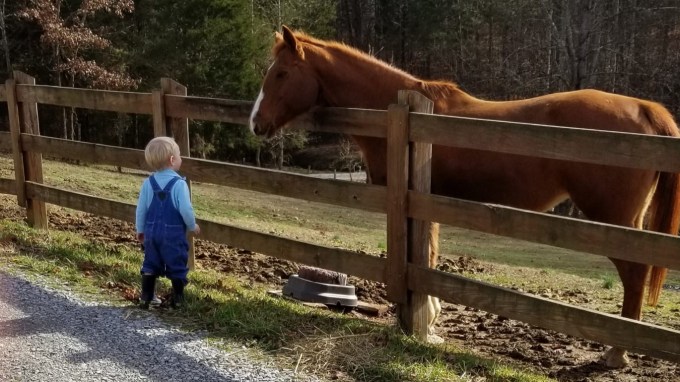 e0650894-1a24-4d7b-9993-4d0a213da187