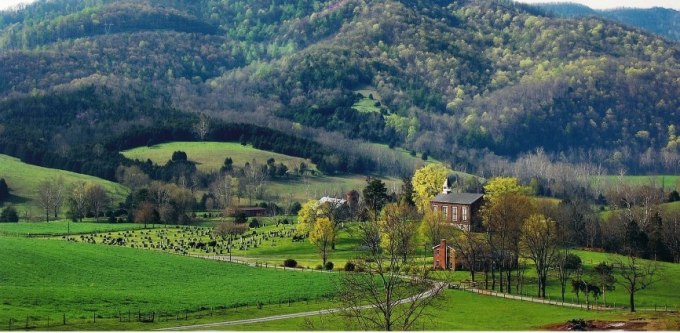 523381_520952647921198_1304170240_n